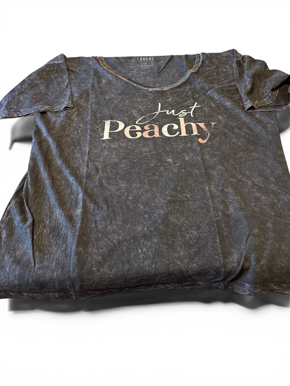Vintage Canvas “Just Peachy” Graphic Tee – Size Medium
